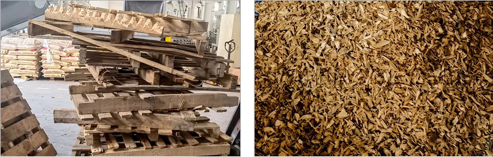 Shredding result: whole pallet transformed into calibrated wood chips