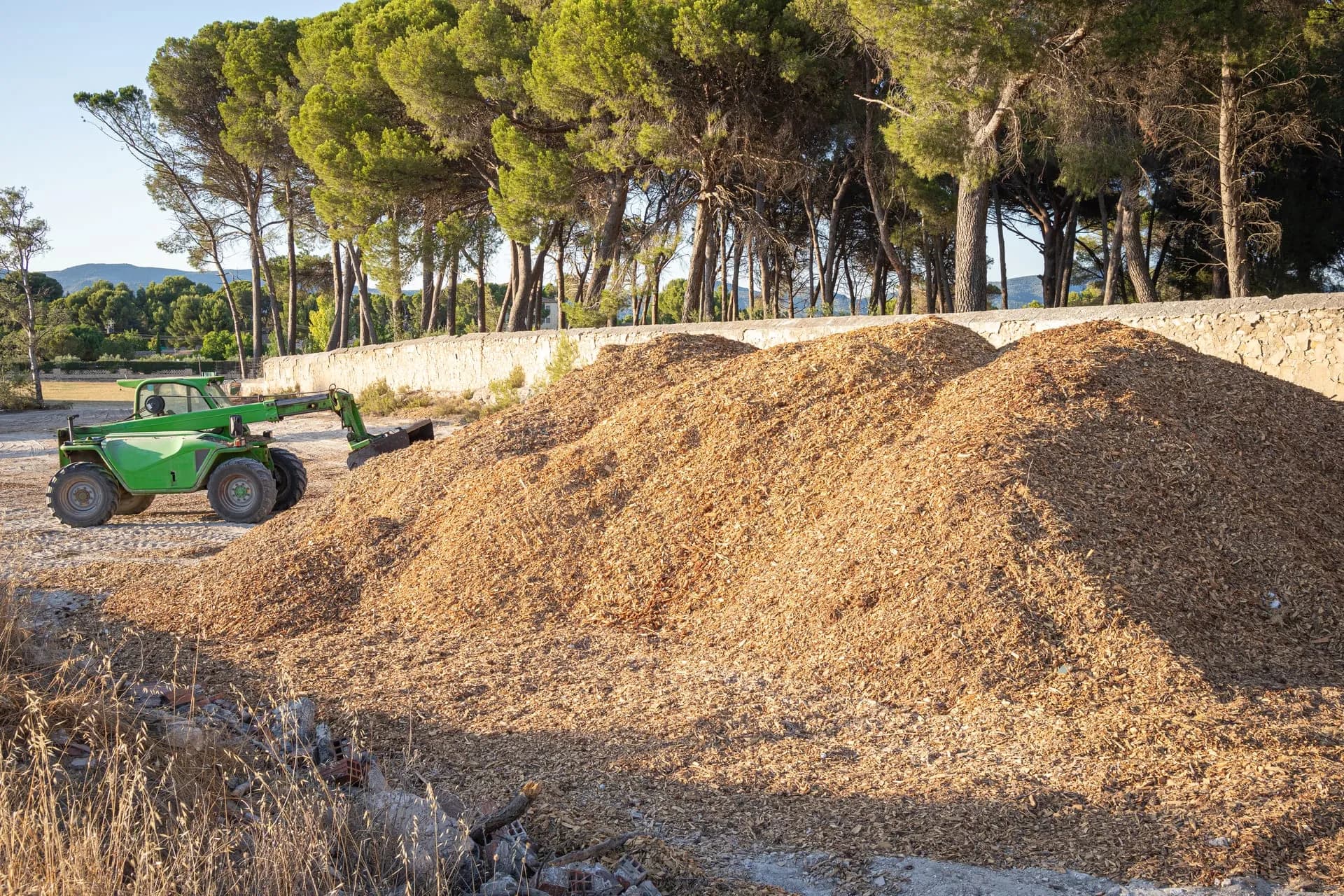 Sciure de bois issue du broyage industriel
